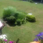 شقة Scherling كوتسشاش ام سي