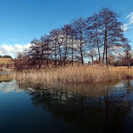 Apartment Landhaus Scherling Keutschach am See